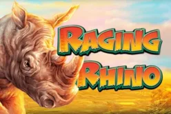 Raging Rhino