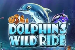Dolphin's Wild Ride