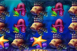 Rich Fish