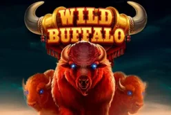 Wild Buffalo