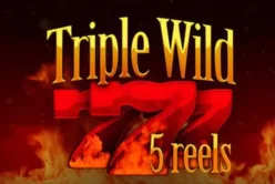 Triple Wild Seven 5 Reels