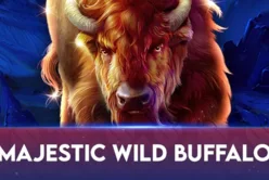 Majestic Wild Buffalo