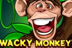 Wacky Monkey