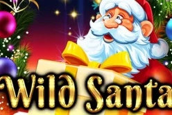 Wild Santa