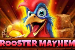 Rooster Mayhem