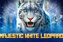 Majestic White Leopard