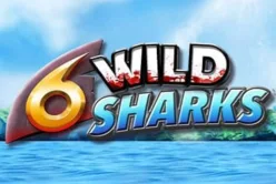6 Wild Sharks