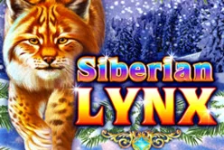 Siberian Lynx
