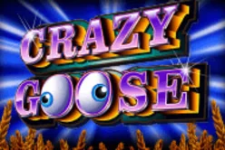 Crazy Goose