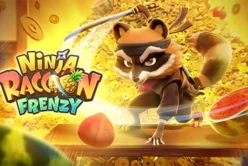 Ninja Raccoon Frenzy