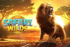 Safari Wilds