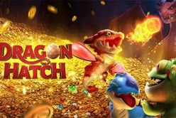 Dragon Hatch