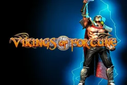Vikings Of Fortune
