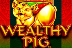 Wealthy Pig