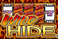 Wild Hide