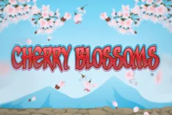 Cherry Blossom