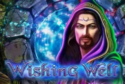 Wishing Well™