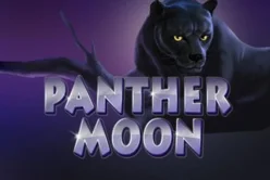 Panther Moon
