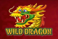 Wild Dragon