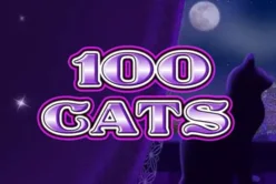 100 Cats