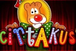 Cirtakus