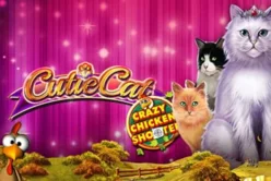 Cutie Cat Crazy Chicken Shooter