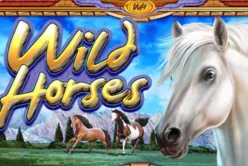 Wild Horses