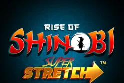 Rise of Shinobi
