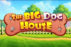 The Big Dog House