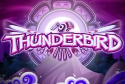 Thunderbird