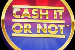 Cash It or Not Dice