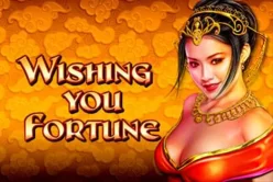 Wishing You Fortune (DUAL)