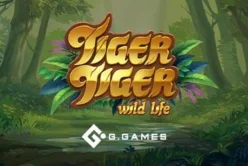 Tiger Tiger