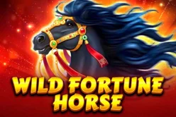 Wild Fortune Horse