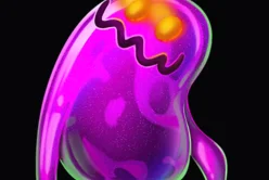 SPOOKY SPOOKY