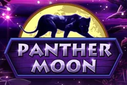 Panther Moon