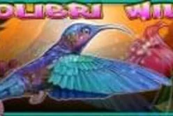Colibri Wild