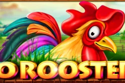 40 Roosters