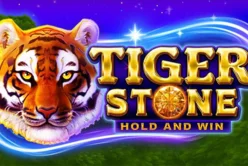 Tiger Stone