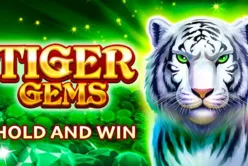 Tiger Gems-Hold and win
