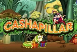 Cashapillar