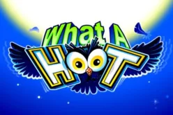 What a Hoot