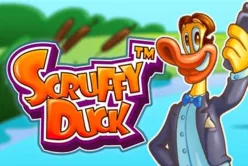 Scruffy Duck