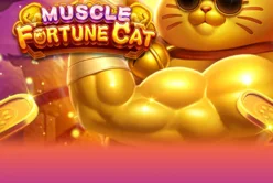 MUSCLE FORTUNE CAT