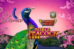 Power Prizes - Noble Peacock