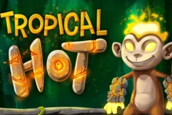 Tropical Hot