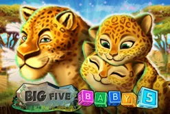 Big 5 Baby 5