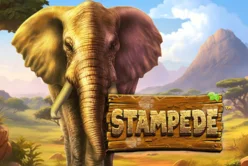Stampede
