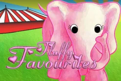 Fluffy Favourites