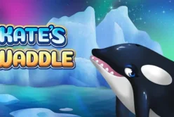 Kates Waddle